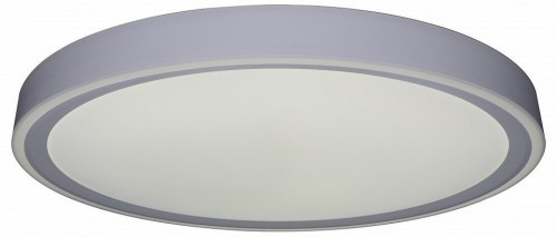 Потолочный светильник Zortes Bella ZRS.1200.09