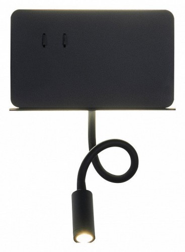 Настенный светодиодный светильник ST Luce Pinaggio SL1576.401.02