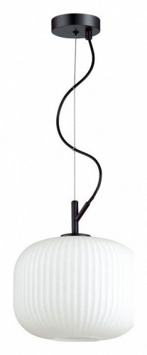 Подвесной светильник Odeon Light Roofi 4753/1