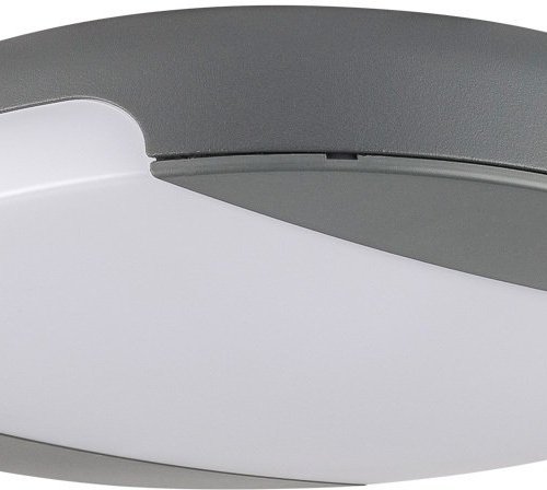 Потолочный светильник уличный Oasis Light SIDNEY LED W3034 Gr