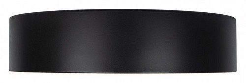 Потолочный светильник Loft IT Coin 10202 Black