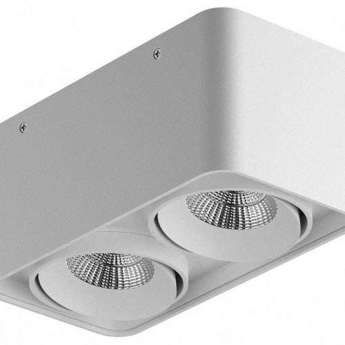 Накладной светильник Lightstar Monocco 052126-IP65