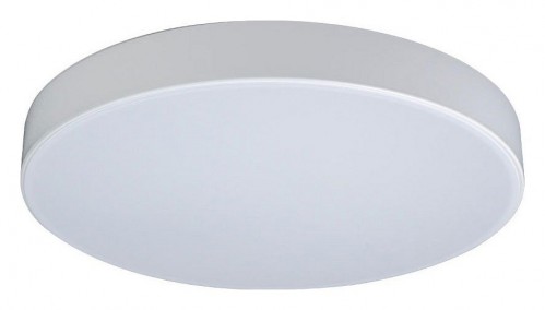 Потолочный светильник Loft IT Axel 10002/24 White