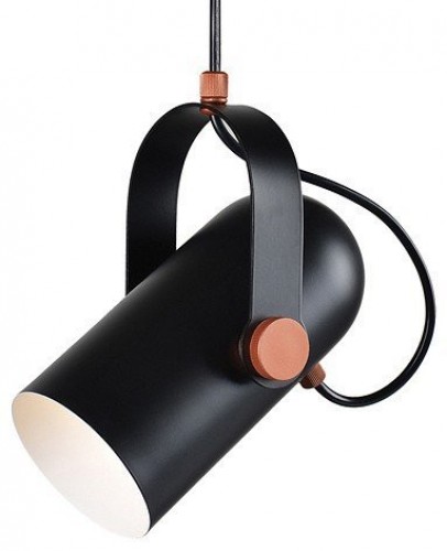 Подвесной светильник Favourite Ampolla 2007-1P Подвесной светильник Favourite Ampolla 2007-1P