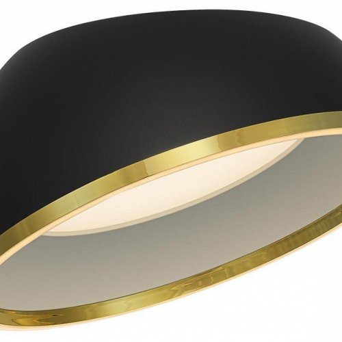 Накладной светильник Citilux FLOOM CL736151