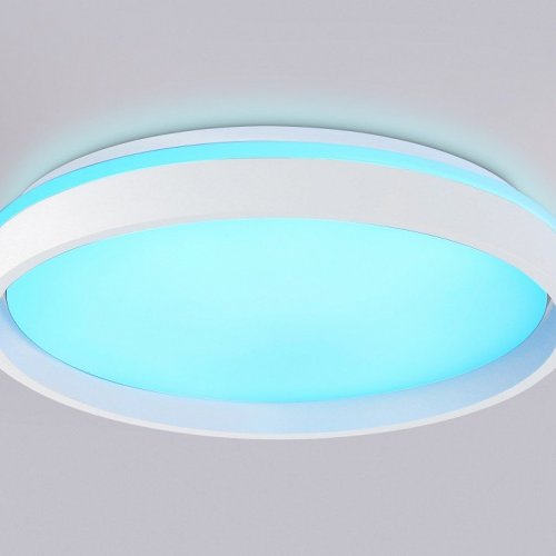 Накладной светильник Ambrella Light FZ FZ607