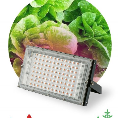 Прожектор светодиодный для растений ЭРА 50W 1310K Fito-80W-RB-Led-Y Б0053082