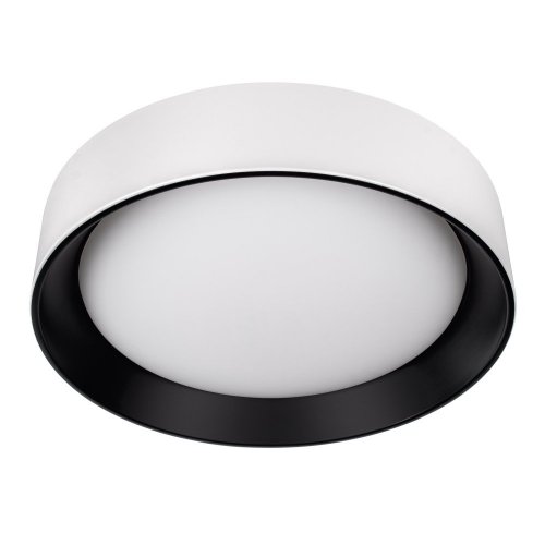 Потолочный светильник Coin 10202 WB