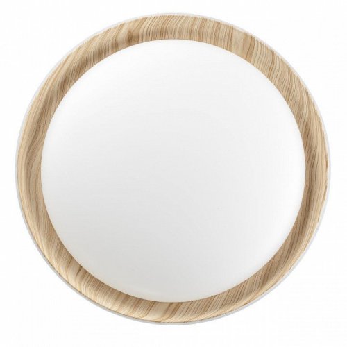 Накладной светильник Citilux MEGA CL752452G