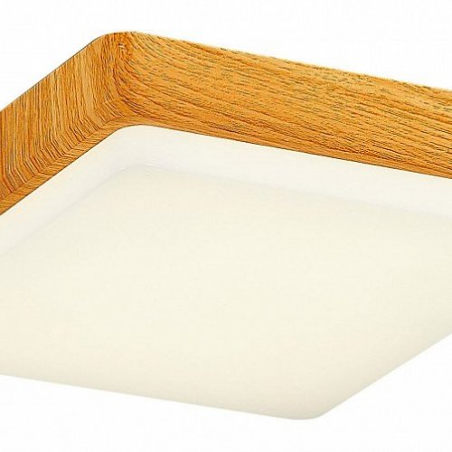 Потолочный светодиодный светильник Evoluce Taddio SLE200202-01