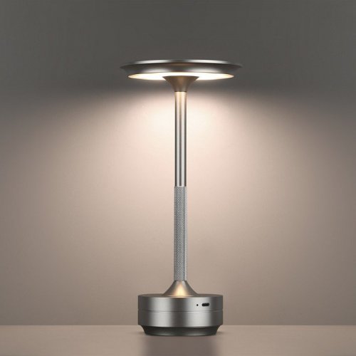 Интерьерная настольная лампа Tet-A-Tet 5035/6TL