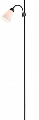 Торшер  315-605-02