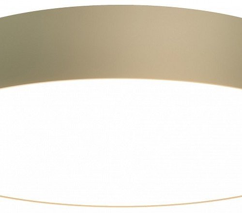 Потолочный светильник Maytoni Zon C032CL-45W3K-RD-MG