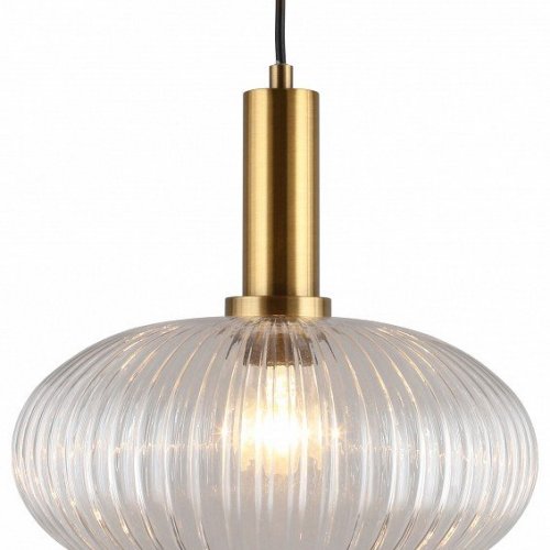 Подвесной светильник Aployt Kornelcia APL.311.06.01