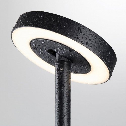 Наземный высокий светильник Odeon Light NATURE 7189/6GL Наземный высокий светильник Odeon Light NATURE 7189/6GL