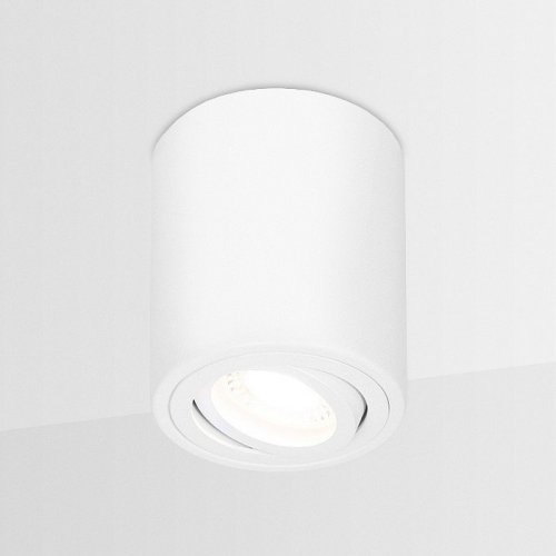Потолочный светильник Ambrella light Techno Spot TN225
