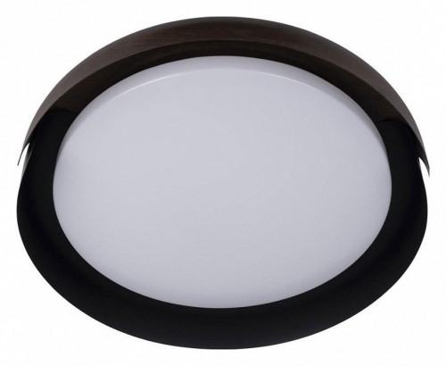 Потолочный светильник Loft IT Coin 10198 Black Потолочный светильник Loft IT Coin 10198 Black