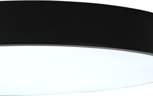 Потолочный светильник Tortty ZRS.02563.96 Потолочный светильник Tortty ZRS.02563.96