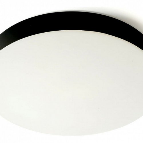 Потолочный светильник Feron 48884