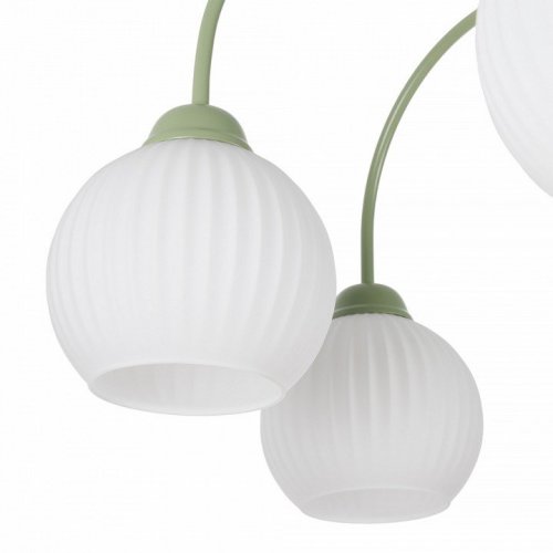 Люстра на штанге MyFar Flora MR2271-6С