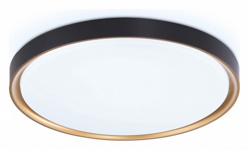 Потолочный светодиодный светильник Ambrella light Orbital Air FZ1249