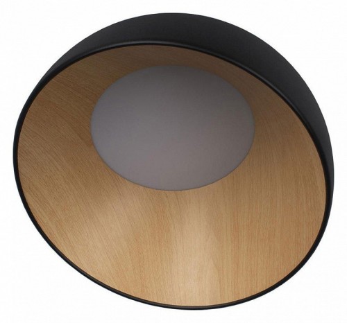 Потолочный светильник Loft IT Egg 10197/350 Black