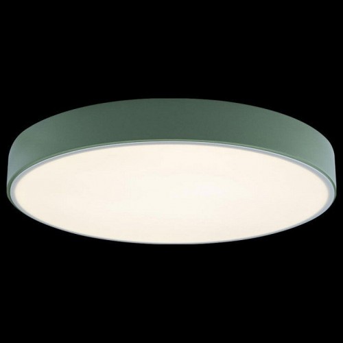 Потолочный светильник Loft IT Axel 10002/24 Green