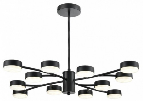 Потолочная люстра Lumion Torina 8117/12