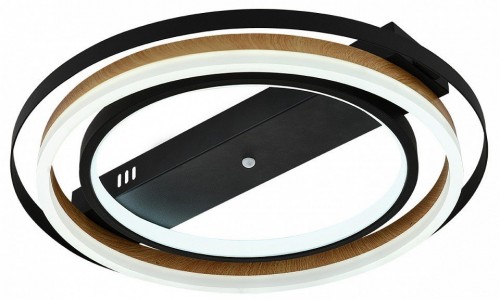 Потолочная люстра Escada Lagom 10247/2LED Потолочная люстра Escada Lagom 10247/2LED