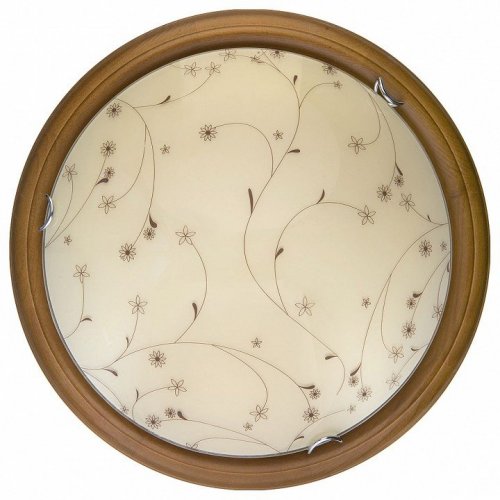 Настенно-потолочный светильник Toplight Karissa TL9650Y-00OA