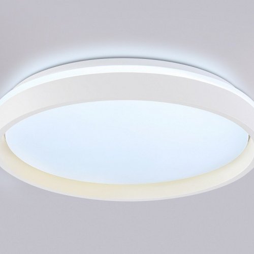 Накладной светильник Ambrella Light FZ FZ607
