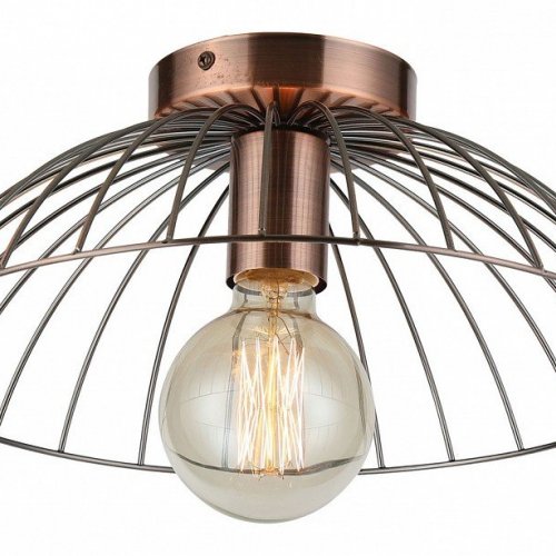 Потолочный светильник Lussole Loft Brooks LSP-8249