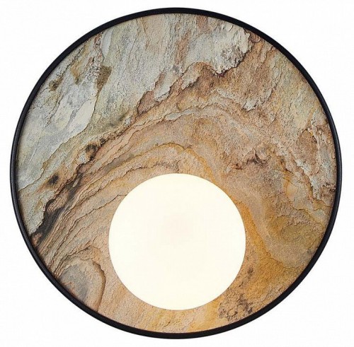 Накладной светильник Favourite Messier 4594-1W Накладной светильник Favourite Messier 4594-1W