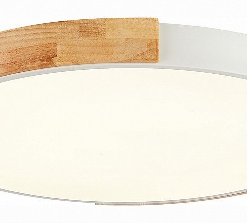 Потолочный светильник Evoluce Delia SLE201352-01