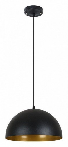 Подвесной светильник Arte Lamp Carmel A7077SP-1BK