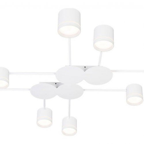 Потолочная люстра Arte Lamp Legacy A8024PL-8WH