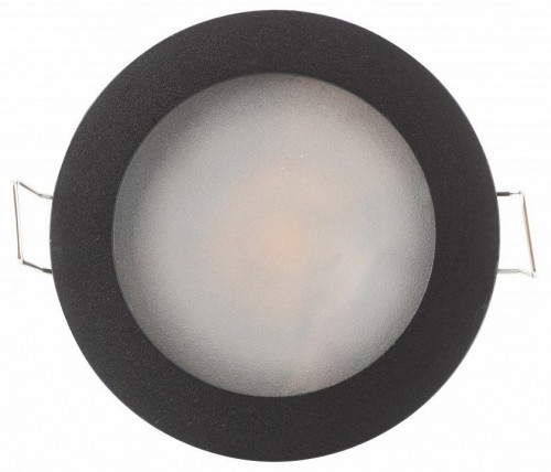 Влагозащищенный накладной светильник Denkirs DK3012-BK