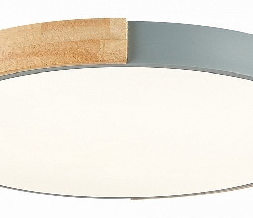 Потолочный светильник Evoluce Delia SLE201372-01