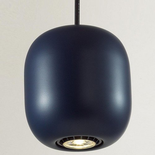Подвесной светильник Odeon Light Cocoon 5060/1CA Подвесной светильник Odeon Light Cocoon 5060/1CA