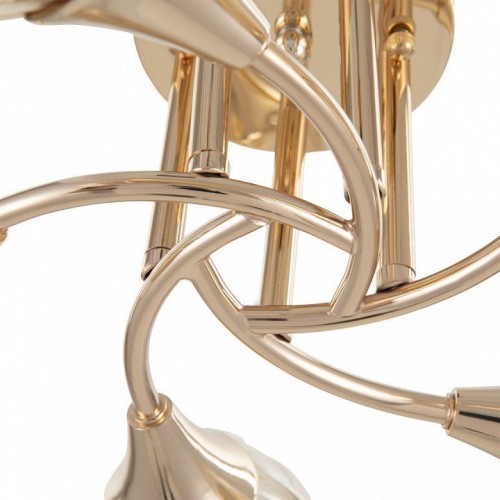 Потолочная люстра Arte Milano Napoli-6366 336366/5 FGD