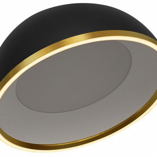 Накладной светильник Citilux FLOOM CL736151