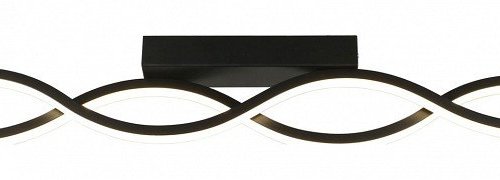 Настенно-потолочный светильник Aployt Nadayn APL.002.12.36 Настенно-потолочный светильник Aployt Nadayn APL.002.12.36