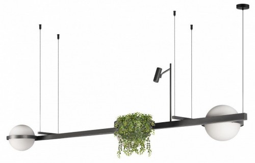 Подвесной светильник Loft IT Jardin 10121/C Dark grey