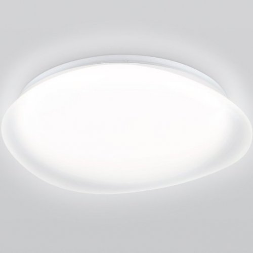 Потолочный светильник Orbital FZ1610