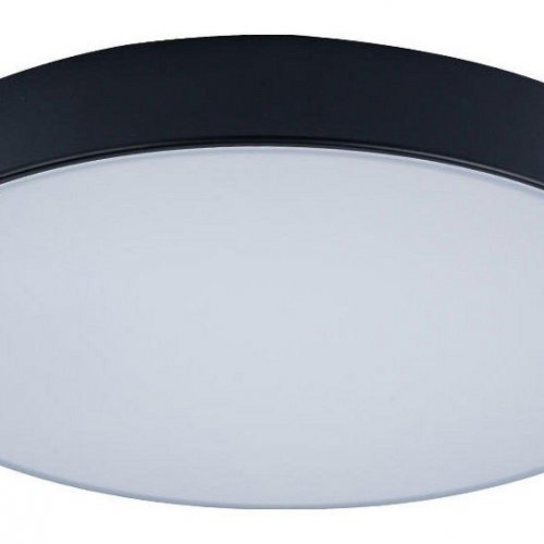 Потолочный светильник Loft IT Axel 10002/24 Black Потолочный светильник Loft IT Axel 10002/24 Black