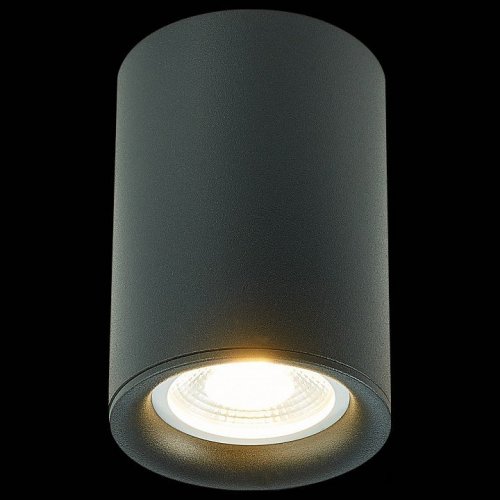 Потолочный светильник ST Luce ST114.407.01 Потолочный светильник ST Luce ST114.407.01
