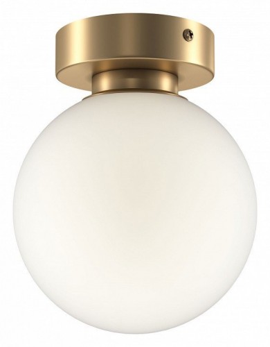 Настенно-потолочный светильник Maytoni Basic form MOD321WL-01G1