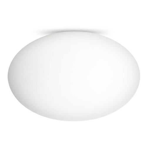 Настенно-потолочный светильник Ron CL941E28