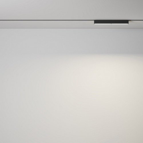 Трековый светильник Parete TR106-2-12W3K-B