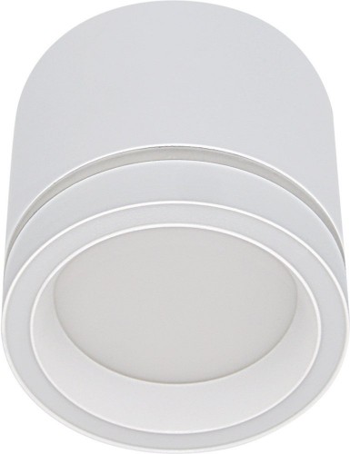 Потолочный светильник Reluce 53003-9.5-001LD GX53 WT